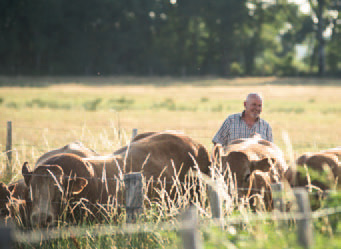 Une gamme engagée et durable