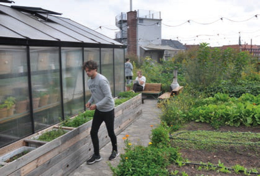 ØsterGRO : du fine & social dining, dans une ferme bio, sur un roof top