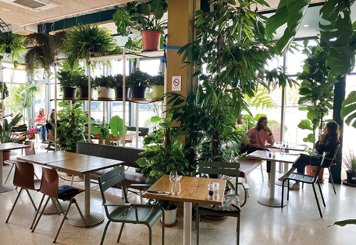 Botani Café à Lyon : Au cœur d’une insolite jardinerie urbaine