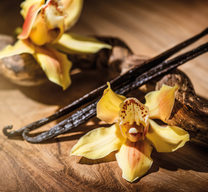 Un parfum de vanille flotte sur les desserts