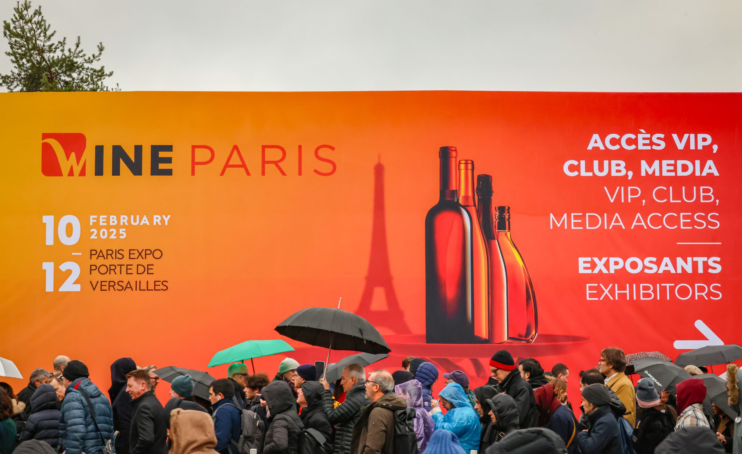 Wine Paris, une édition record